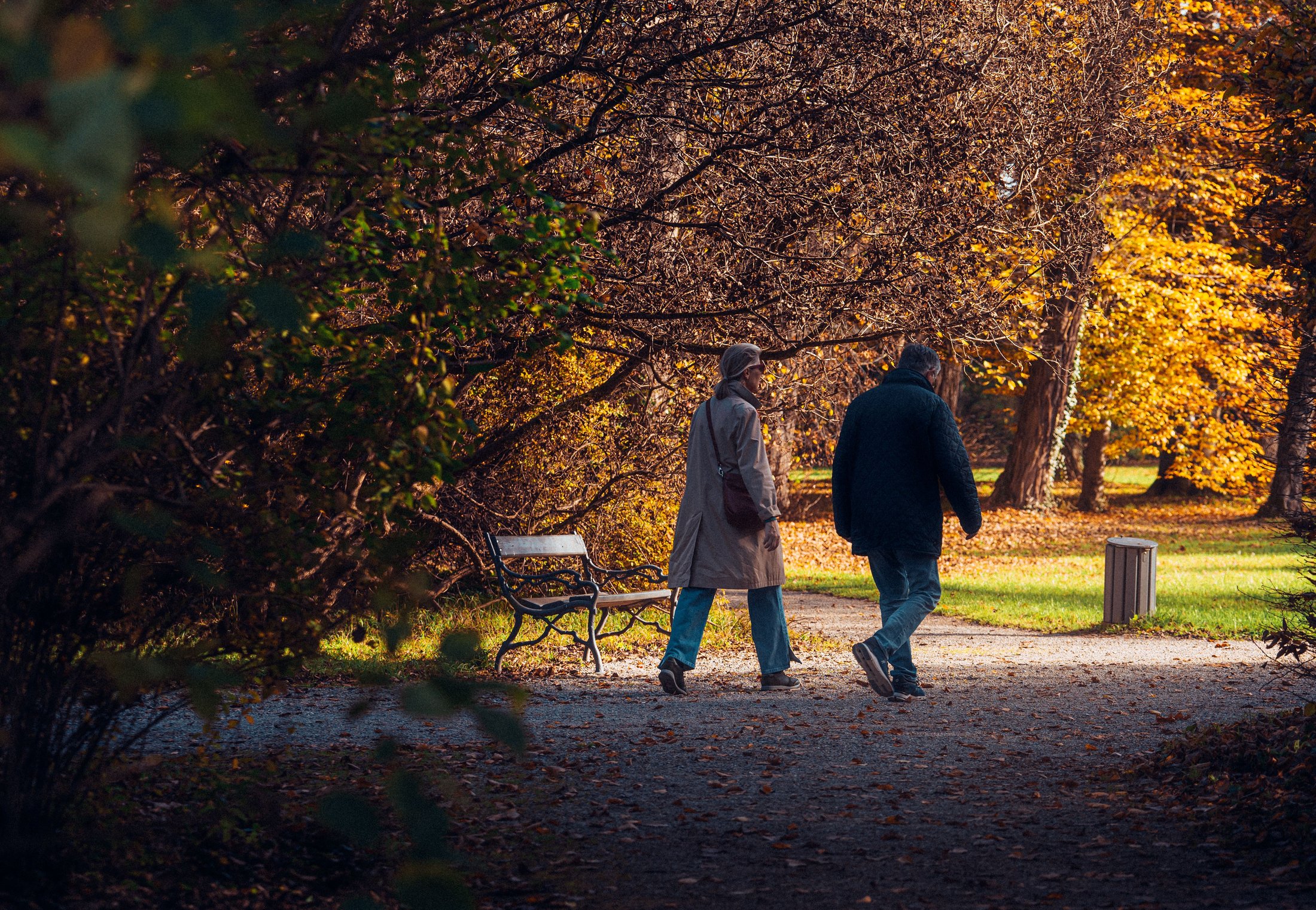 A couple walking a tree-lined path on an autumn afternoon